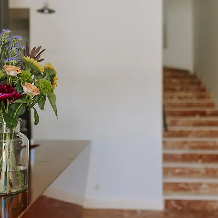 Hotel Apoksiomen Mali Lošinj