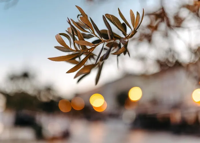 Apoksiomen Hotell 4*